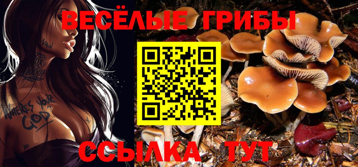 Псилоцибиновые грибы ЛСД Реж