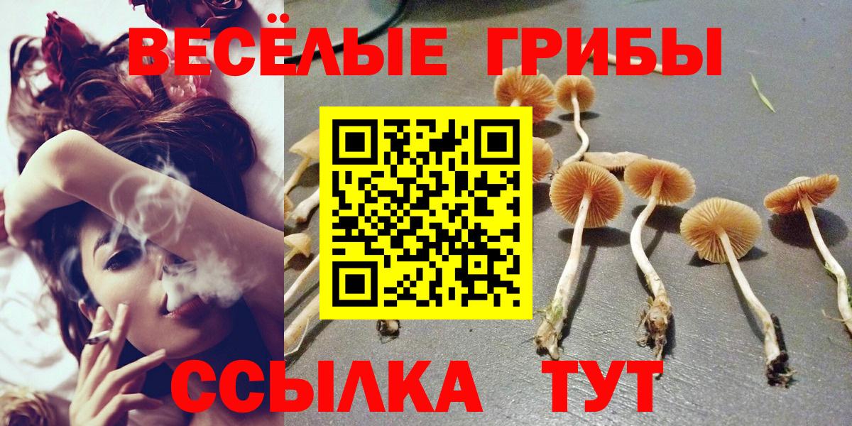 Галлюциногенные грибы Cubensis  Псилоцибиновые грибы GOLDEN TEACHER  Вход с VPN  Реж 